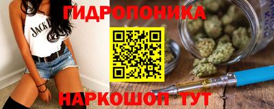 Альфа ПВП Обь