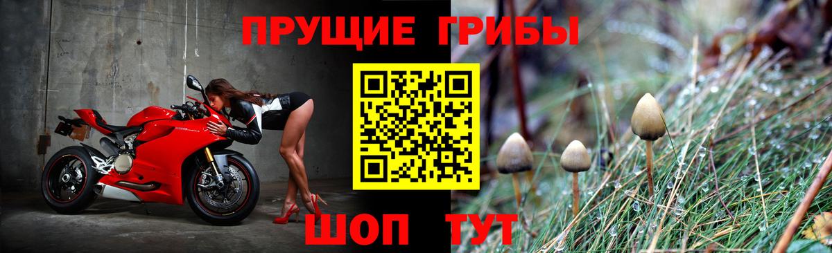 Галлюциногенные грибы GOLDEN TEACHER  Псилоцибиновые грибы мицелий  Сосновый Бор  Вход с VPN 