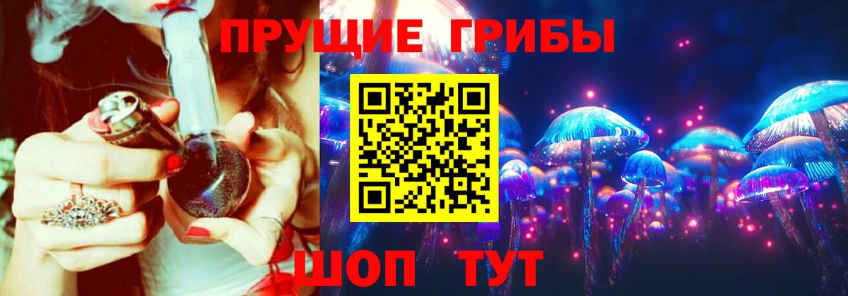 Псилоцибиновые грибы Psilocybine cubensis Сосновый Бор